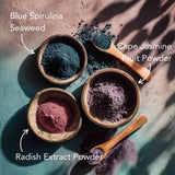 The Complete Super Nutrient Purple Haircare Set - The Cornish Seaweed Bath Co.