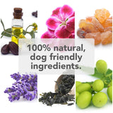 Itchy Ear Oil for Dogs - The Cornish Seaweed Bath Co.