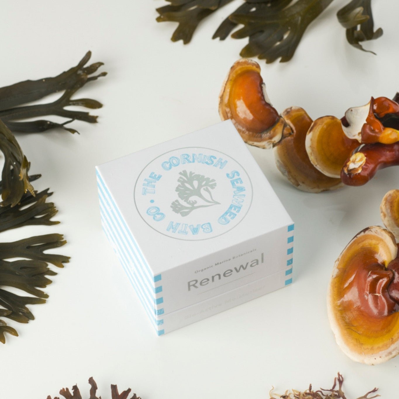 Why pH Is Important in Skincare: Your Complete Guide - The Cornish Seaweed Bath Co.