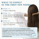 Super Nutrient Haircare Set Subscription - The Cornish Seaweed Bath Co.