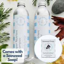 The Haircare & Soap Set - The Cornish Seaweed Bath Co.