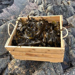Wild Cornish Seaweed Bath - The Cornish Seaweed Bath Co.