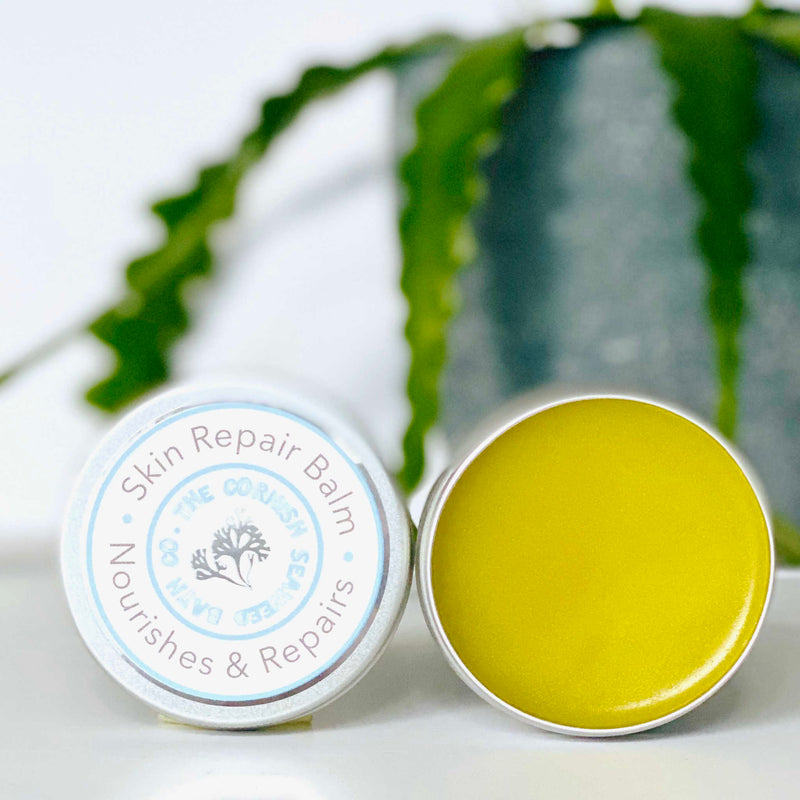 Wild Seaweed Skin Repair Balm 50ml/large - The Cornish Seaweed Bath Co.